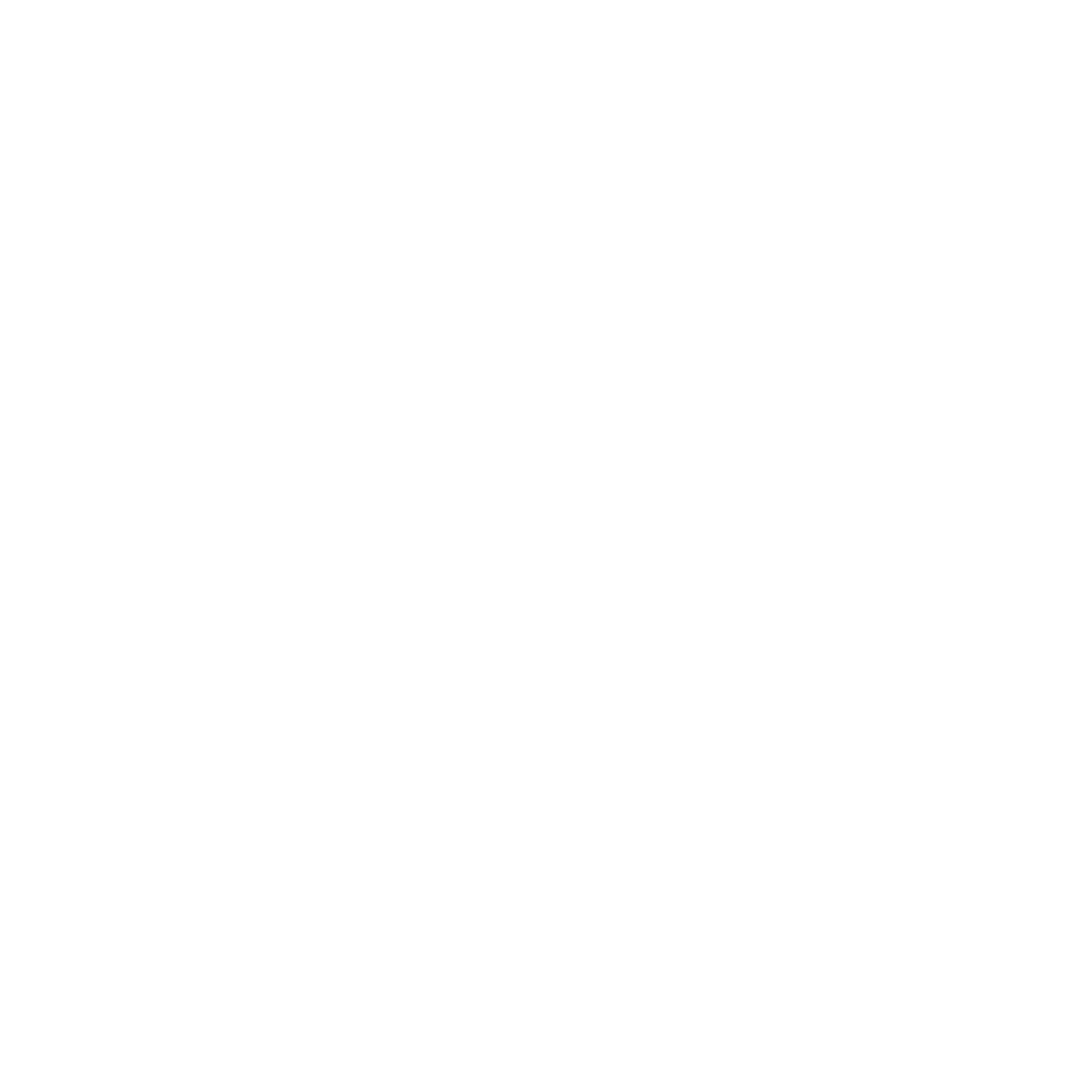 Budrus Store